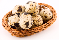 Quail Eggs Shipped 140 ct.